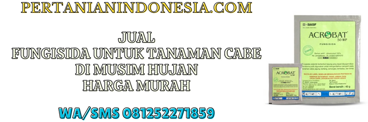jual,murah,pertanian indonesia,jual fungisida untuk tanaman cabe,jual fungisida untuk tanaman cabe di musim hujan